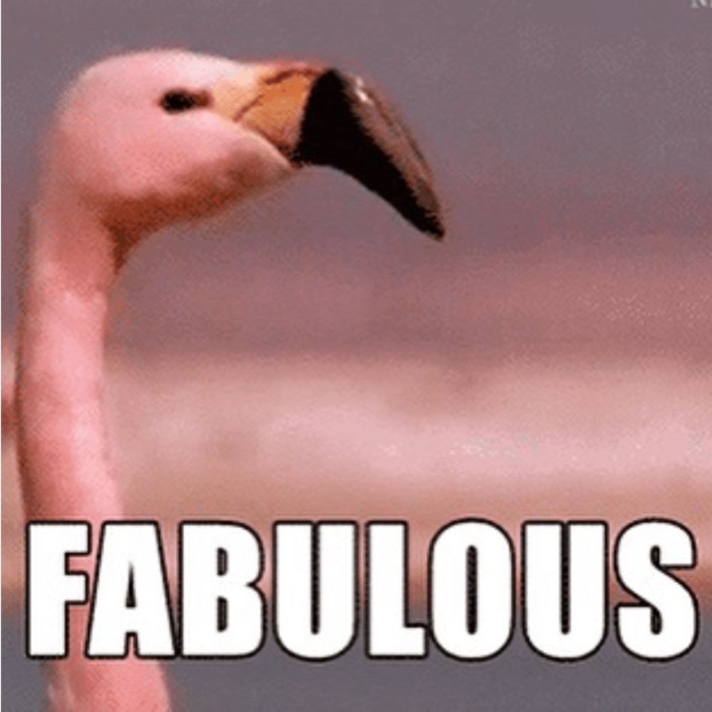 Meet your Posher, Flamingo